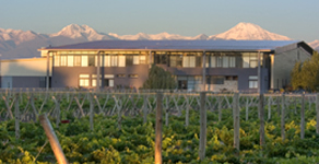 Atamisque Mendoza - Turismo Tupungato Mendoza - Bodega Atamisque - Winery Atamisque