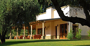Where to Stay San Rafael Mendoza - Mendoza San Rafael - Vineyard Real Estate San Rafael Mendoza - Bodega Algodon Mendoza