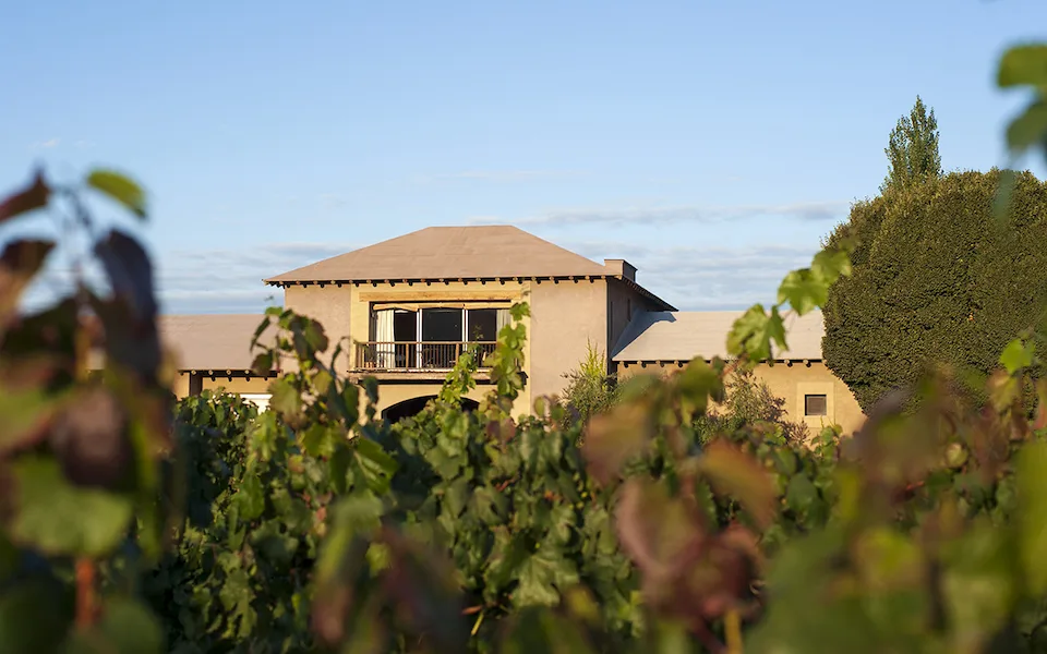 Bodega Vistalba, Vistalba, Mendoza