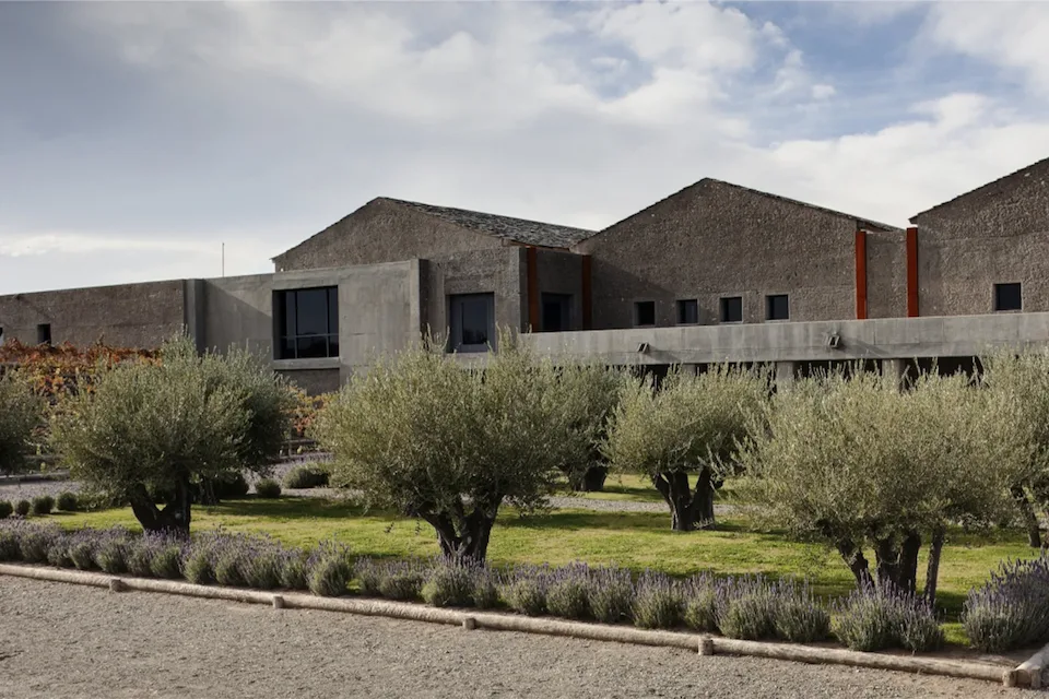 Bodega Atamisque — imagen 1 de 7