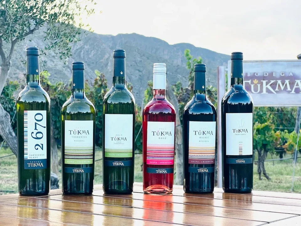 Bodega Tukma, Tolombon, Salta
