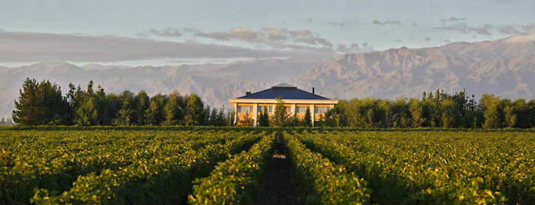 Casa Antucura Wine Hotel. Tunuyán, Mendoza.